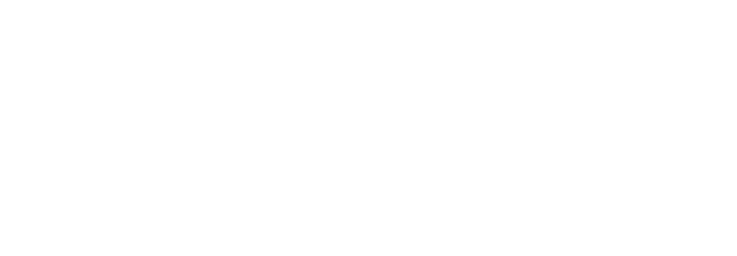 Brand portfolio logo for Vetted Security Solutions